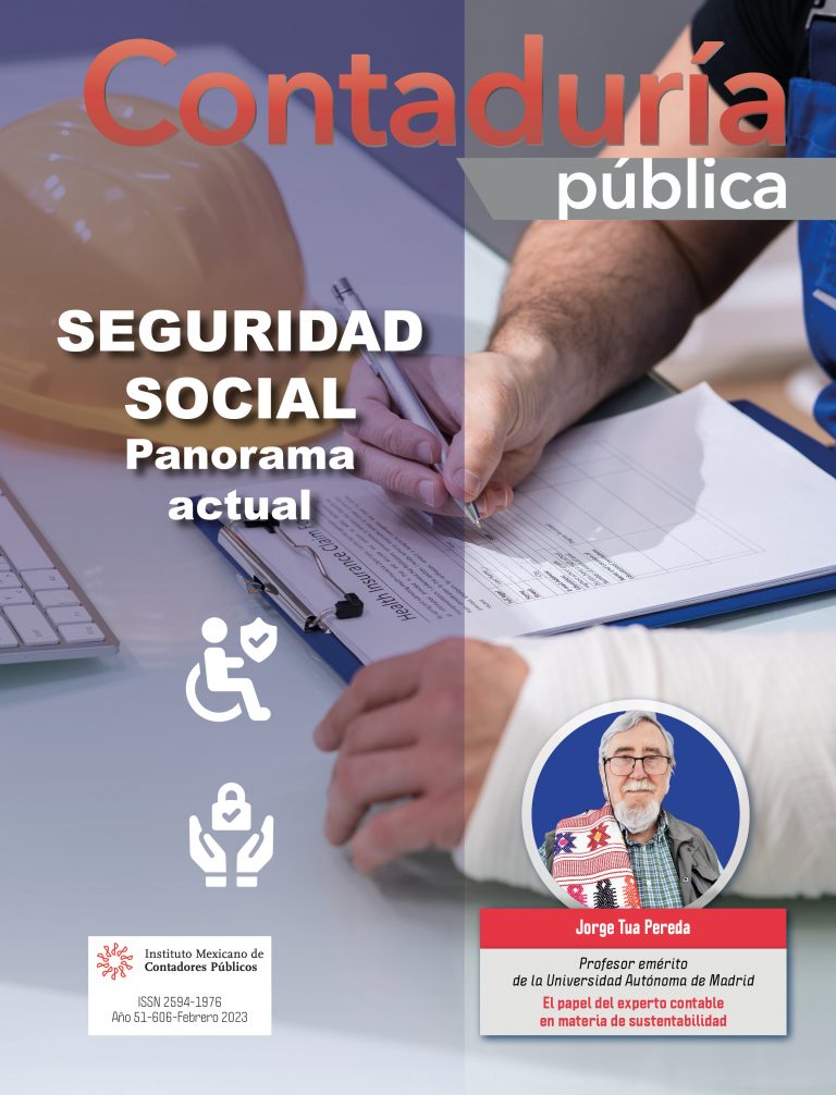 Revista Digital Contadur A P Blica Imcp