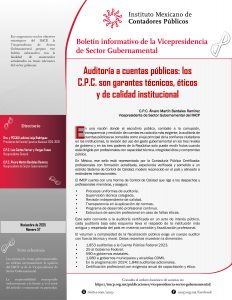 Auditoría a cuentas públicas: los C.P.C. son garantes técnicos, éticos y de calidad institucional